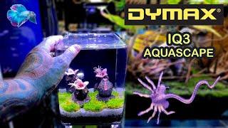 THIS NANO TANK IS AWESOME! DYMAX IQ3 Unbox & Scape Pauls Aquariums