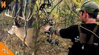 SHOOTER AT 12 Yards on a WATER HOLE, First Hunt