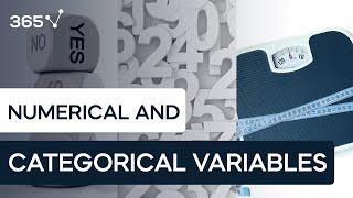 Types of Data: Categorical vs Numerical Data