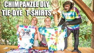 Chimpanzee DIY Tie-Dye T-Shirts | Myrtle Beach Safari