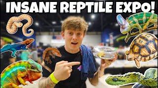 I SPENT OVER 1000$ AT THIS REPTILE SHOW!!  **INSANE**