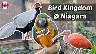 Bird Kingdom walk-through and waving parrot | Niagara | Living in Canada