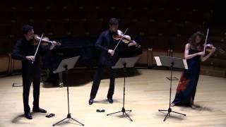 The Carpenter Trio: viola Stradivari 1715, violini Stradivari 1727 "Vesuvio" e 1714 "Joachim-Ma"