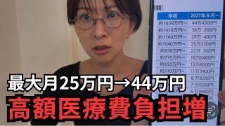 【高額療養費制度】本日決定。令和7年予算にて医療費大改悪。【雑談】心理的瑕疵物件に住んでいた話。