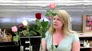 Understanding Buying Cut Roses