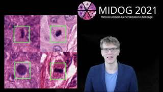 The Mitosis Domain Generalization (MIDOG) challenge 2021