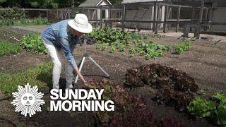 A tour of Martha Stewart’s vegetable garden