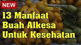 13 Manfaat Buah Alkesa Untuk Kesehatan