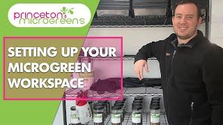 Microgreen Workspace Setup (Everything You Need to Get Started)