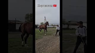Кыргызстан 