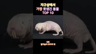 닮은친구소환! 지구상에서 가장 못생긴 동물 TOP 10