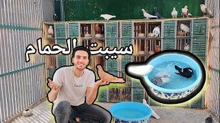 سيبت الحمام في السلاكة لاول مرة  وعملتلهم حمام سباحة ؟!!