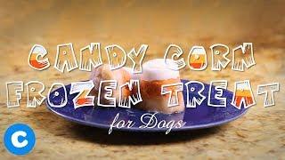 Homemade ‘Candy Corn’ Halloween Treat For Dogs | Chewy Eats