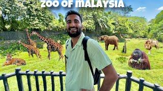 National Zoo of Malaysia Gaiy Bht Maza Aya