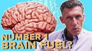 Number 1 Brain Fuel to Improve Memory