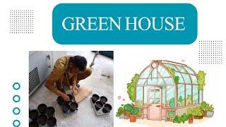 Green House Visit | AARI | WRI | MAHA SARFRAZ