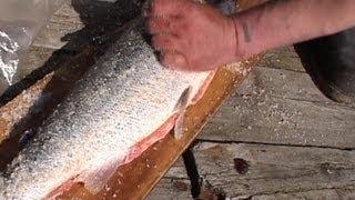 Так поморы солят сёмгу / Know how the local people of White sea area salt the salmon