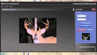 Buckscore Deer Antler Scoring Demo