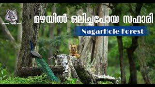 Nagarhole Forest Safari 2019