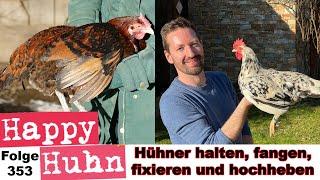 Tipps zu: Hühner halten, einfangen, fixieren, zähmen und hochnehmen mit Angelika - HAPPY HUHN E353