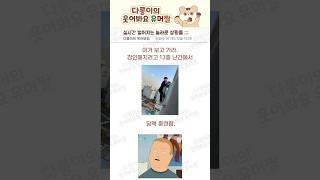 실시간 벌어지는 놀라운 상황들 ;;; #웃긴동영상 #유머 #공감