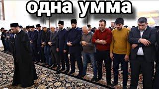 Ахмад Самир шиит и призвывает к Шиизму?? // ШИИТЫ ТАКФИРЯТ СУННИТОВ?