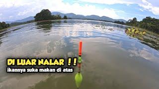 BUNGLAI PUNYA CERITA‼️mancing nyobok dinwaduk riam kanan cuma 2 jengkal