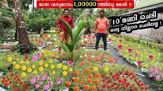 മാസ വരുമാനം1,000,00 ത്തിനു മേൽ|170 different varieties of portulaca|Eva table rose garden Alappuzha