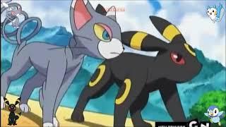 Pilpup and Pachirisu VS Umbreon and Glameow   Pokemon Double Battle