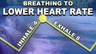 Deep Breathing to Slow Heart Rate (inhale 4, exhale 8)