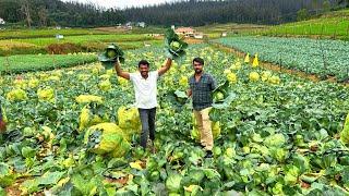 ഊട്ടിയിൽ പോയാൽ ഈ കാഴ്ചകൾ കാണാതെ പോരരുത്. If you go to Ooty, don't miss these sights.