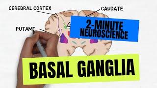 2-Minute Neuroscience: Basal Ganglia