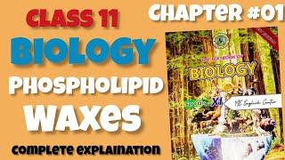 Phospholipid- Waxes -Chapter#01 Biological molecules -Class 11 - Sindh board