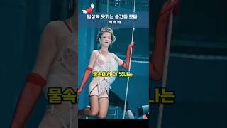 일상속 웃기는 순간들 모음 ㅋㅋㅋ #웃긴영상 #재밌는동영상 #웃긴짤