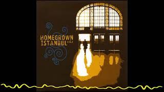 Ceyhun Çelikten & Nurhat Şensesli - Happy Istanbul (Homegrown Istanbul, Vol.2 - 2008)