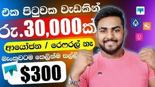 ආයෝජන නැතුව දවසකට රු.30,000ක්.Binance sinhala 2024.online job sinhala.online salli hoyana karama