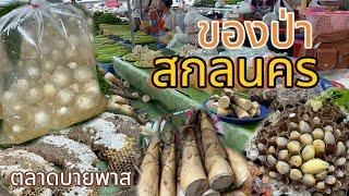 แม่โขงออนทัวร์ #6 ตลาดของป่า จ.สกลนคร เห็ดตาโล่ ตัวหัวเสือ เจอเมนูเด็ดในตลาดบายพาส