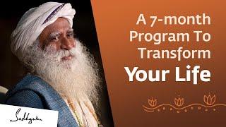 A 7-month Program That Can Transform Your Life