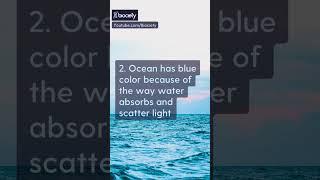 4 Blue Ocean Facts You May Didn’t Know