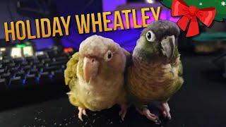 Holiday Wheatley (And Friend)