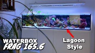 Private WATERBOX FRAG 165.6 reef tank - LAGOON STYLE *natural aquascape*