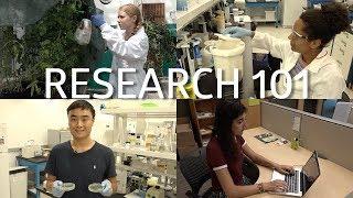 A day in the life of an undergrad researcher!