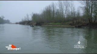 Loir-et-Cher : les castors des bords de Loire