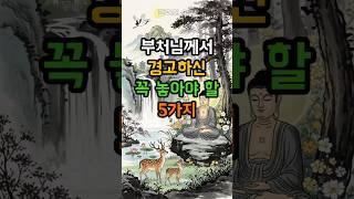 살면서 꼭 놓아야 할 5가지 #부처님말씀 #불교 #지혜