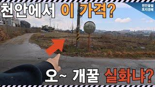 헐… 천안에 이런 땅이 있다고? 518평이 1억 원대! 