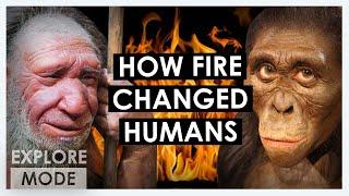 How humans tamed fire  | How fire changed humanity  | EXPLORE MODE