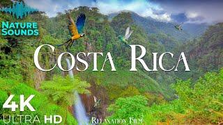 Costa Rica • Forest 4K Relaxation Film • Peaceful Relaxing Music • Nature 4k Video UltraHD