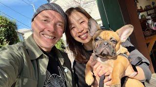 JAPANESE LUNCH At a DOG CAFE |  NOV  9, 2024  | LIVE