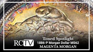 Toned Spotlight: 1886-P Morgan Dollar MS62 “Magenta Morgan”