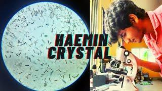 HAEMIN CRYSTAL preparation from Human blood | Physiology Practical | A.O.B| Zoology